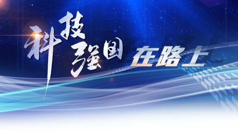 SaaS平台案例数量，企业选择的关键考量