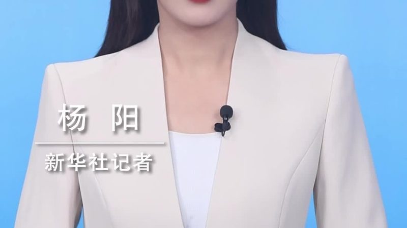Apollo配置中心：揭秘其优缺点与选型策略