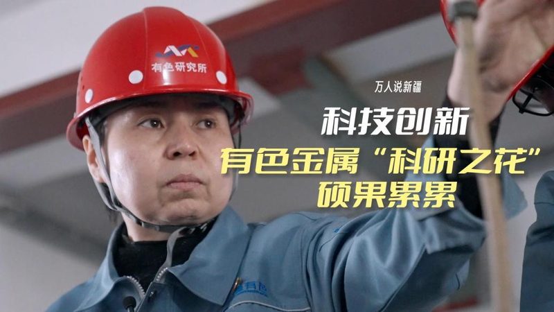 免费OA办公系统：参数配置背后的关键考量**